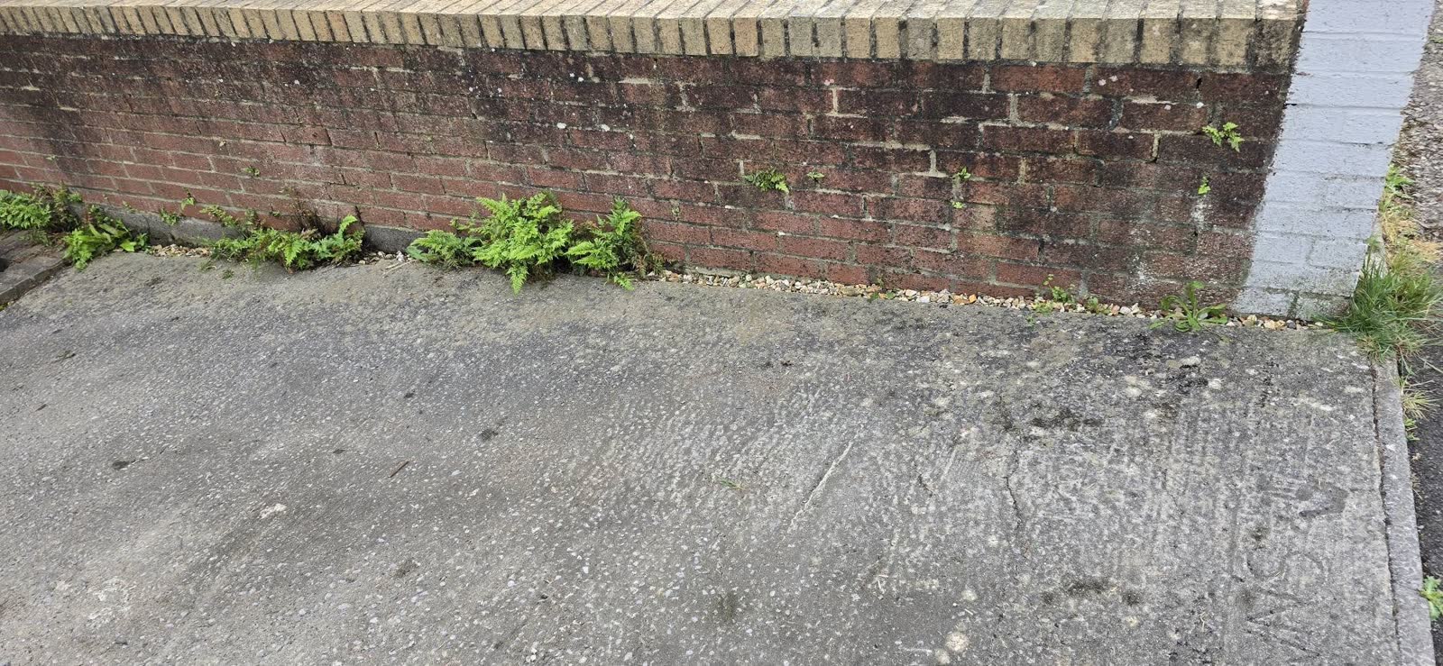 Neighbouring Driveway Waste Clearances in Crewkerne project photo 5