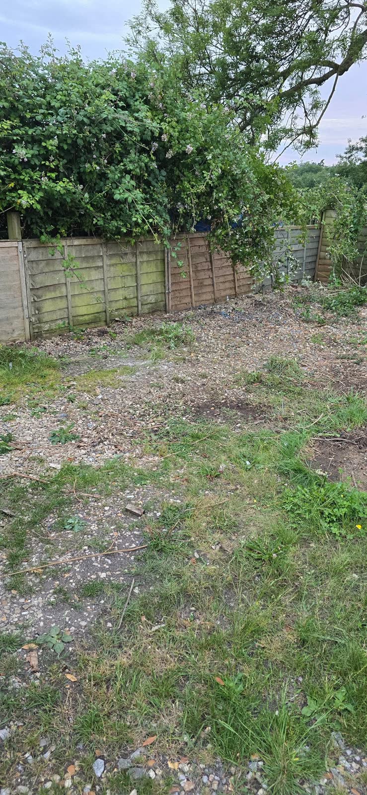 Large Garden and Building Waste Clearance project photo 13