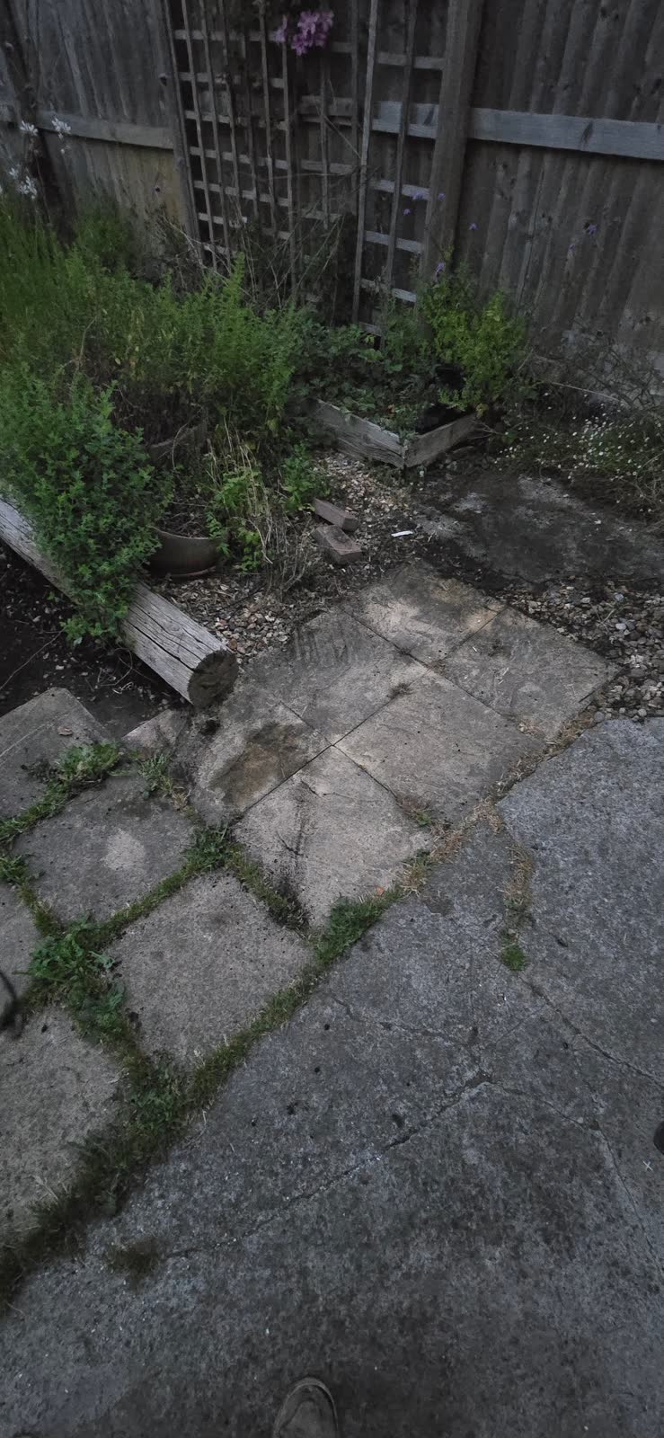 Large Garden and Building Waste Clearance project photo 20