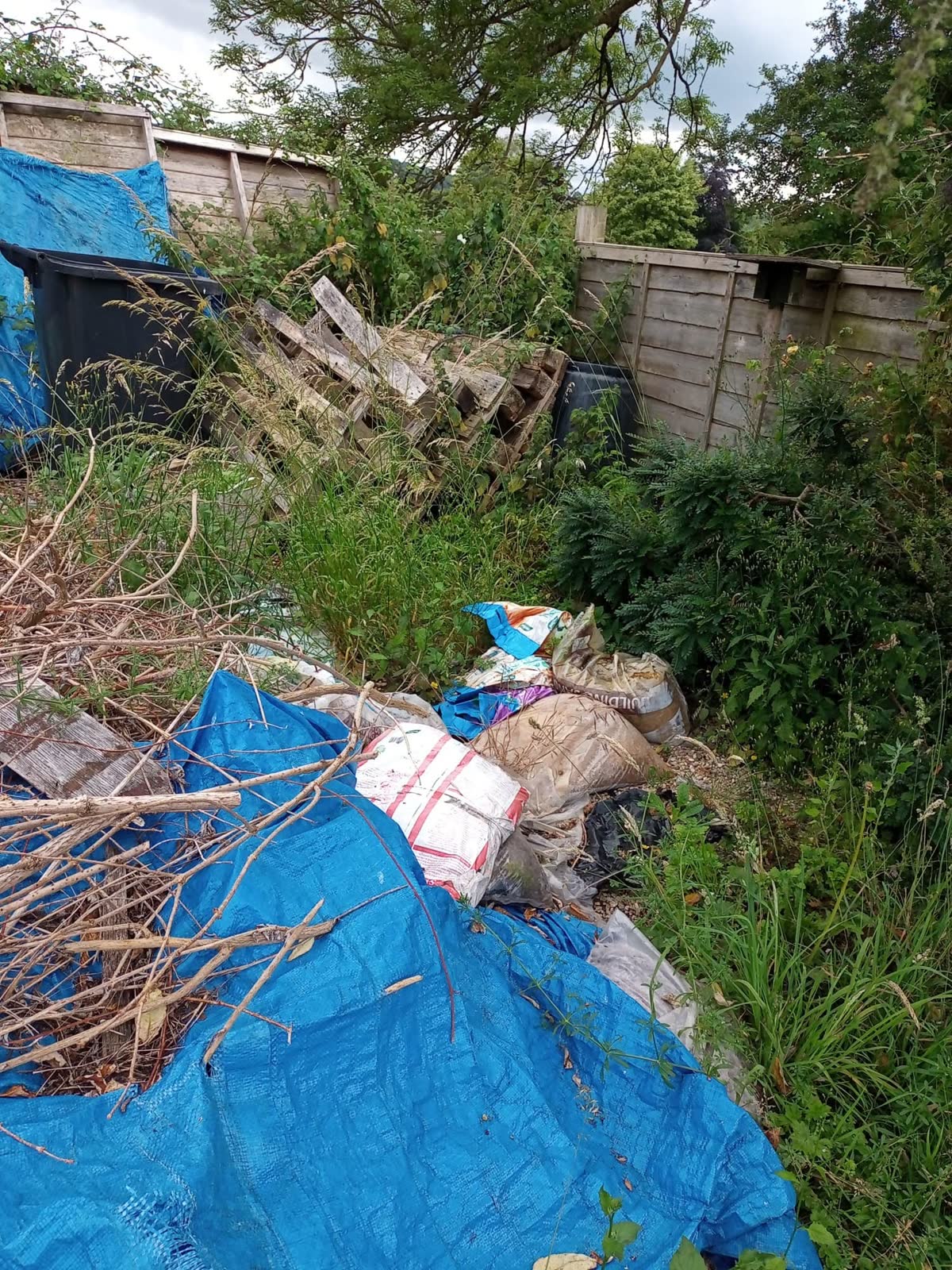 Large Garden and Building Waste Clearance project photo 10