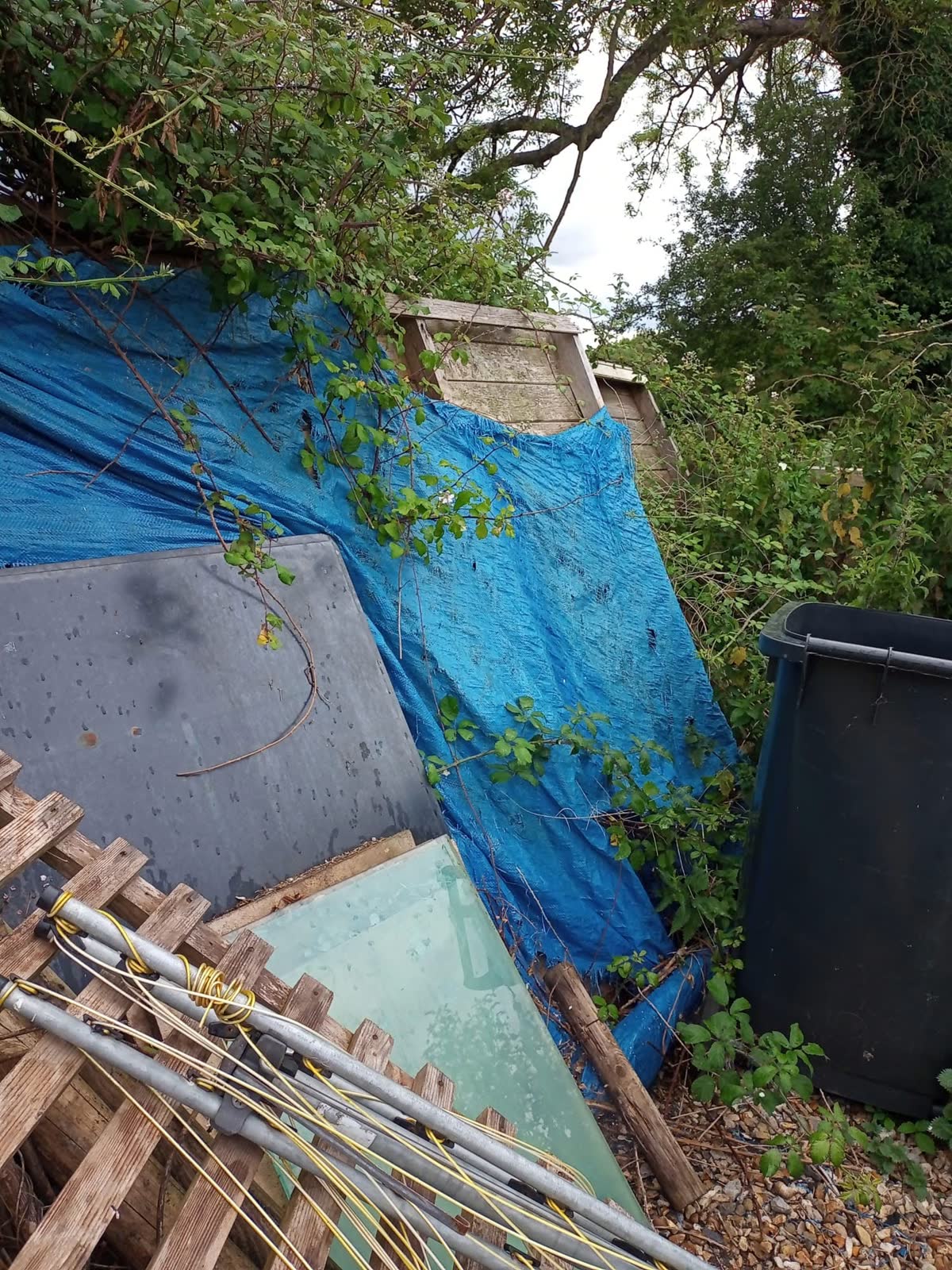 Large Garden and Building Waste Clearance project photo 12