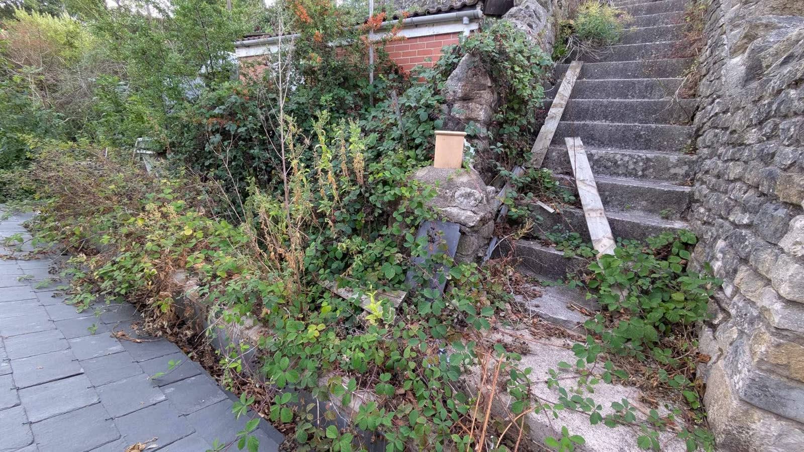 Large Garden Clearance and Green Waste Removal project photo 1